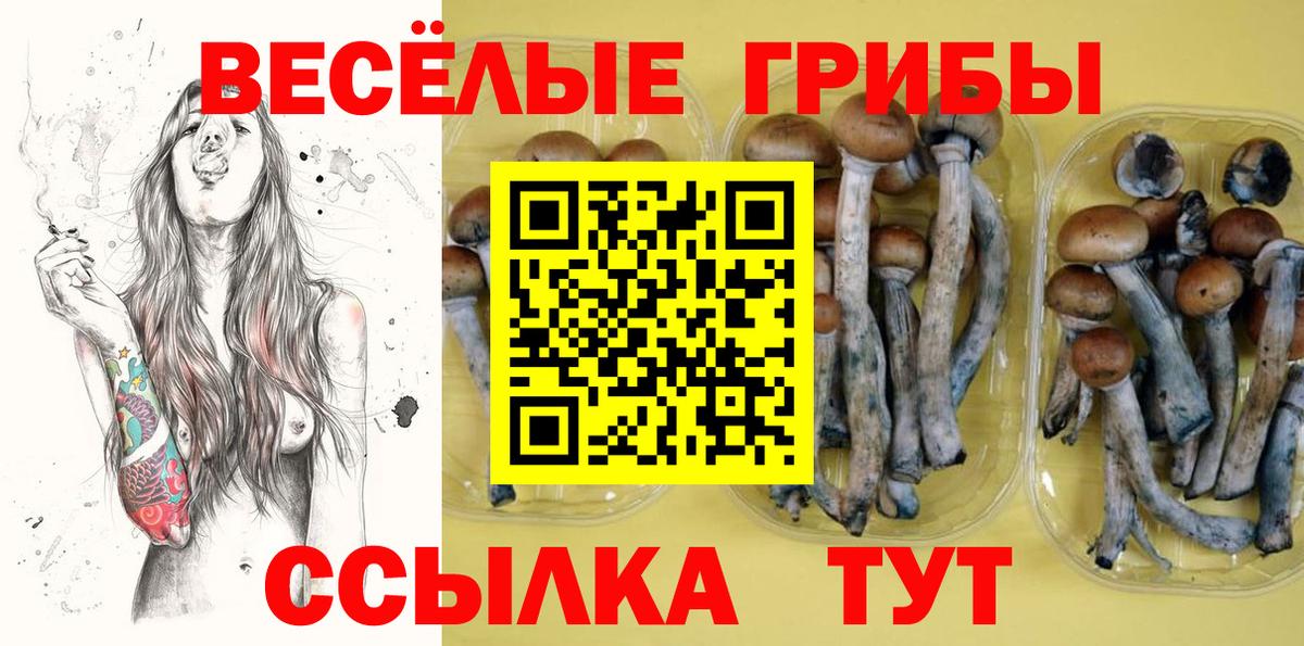 Ишим  даркнет сайт  Вход с VPN  Псилоцибиновые грибы GOLDEN TEACHER 